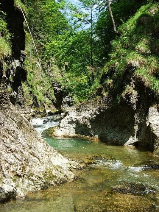 Nebezpecna krasa