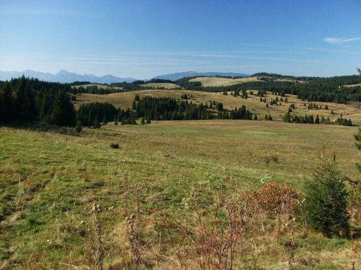polana Svorad Grun Mlynova Mala Fatra