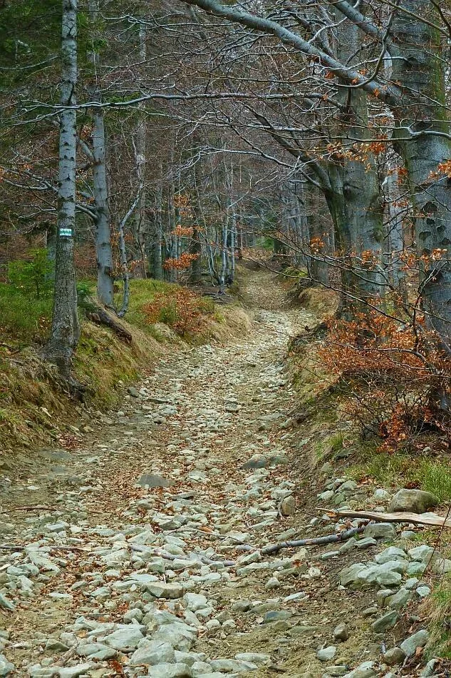 Beskid Śląski. Droga na Błatnią 14.04.2012