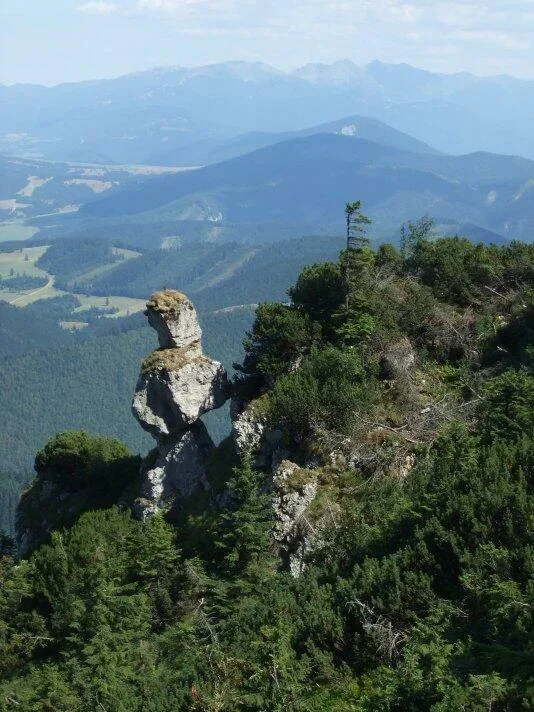Chocsky harmonikar Chocske vrchy Zapadne Tatry