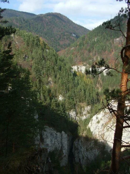 Prosiecka dolina