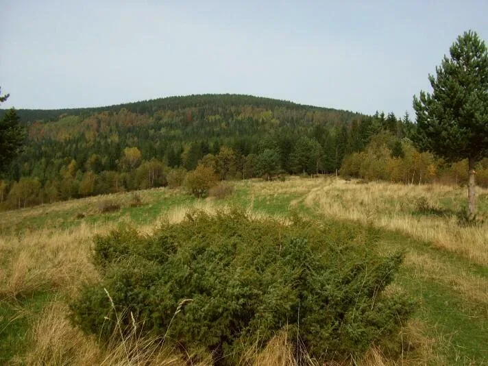 Grun Pripor 1000 m Kopec 1251 m