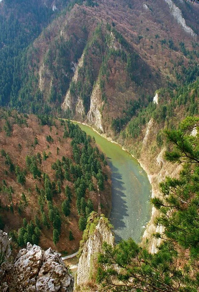 Pieniny. Widok z Sokolicy