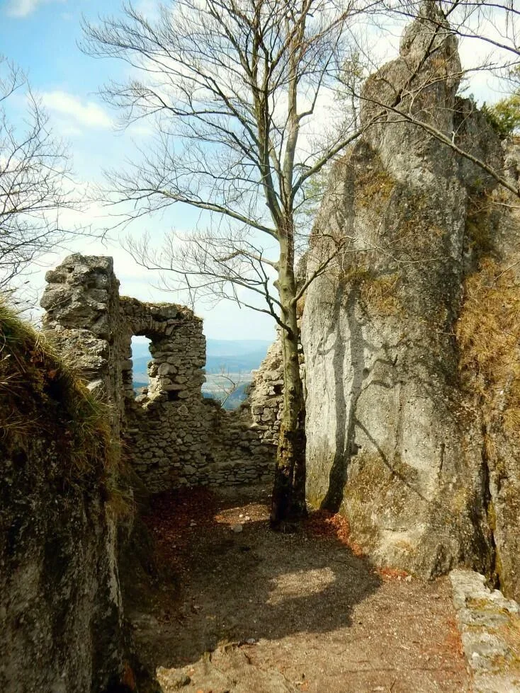 Hrad Sulov Sulovske skaly Sulovske vrchy