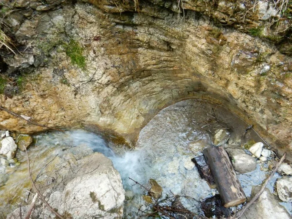 Prirodna rezervacia Sucha Bela