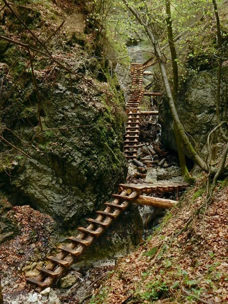 Prirodna rezervacia Piecky vrch