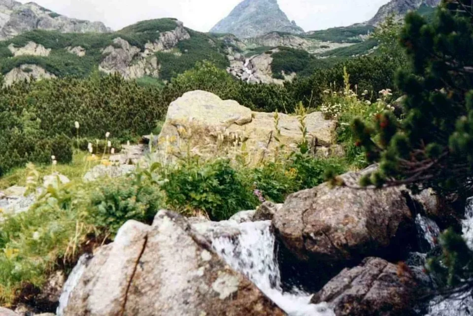 Naturka