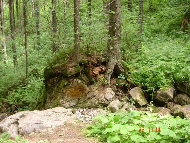 Na skale