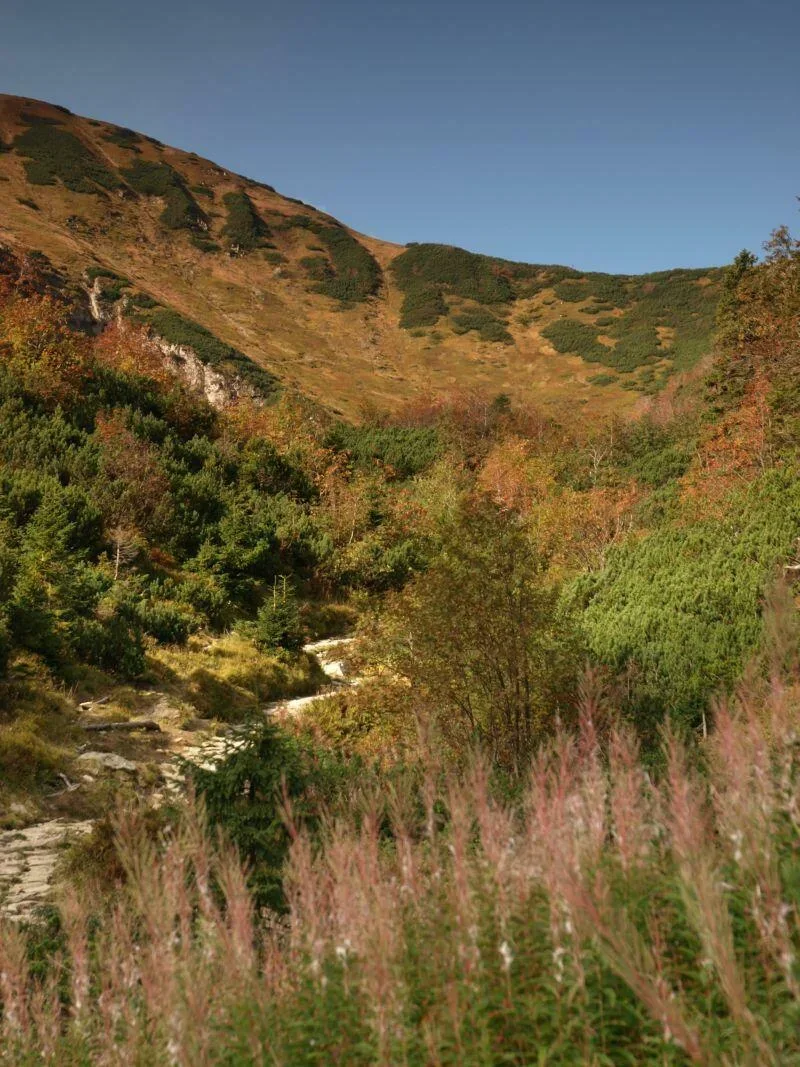 Barwy Jesieni