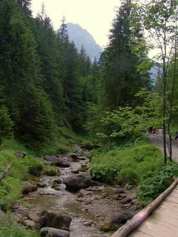 Potok górski