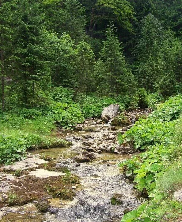 Potok górski