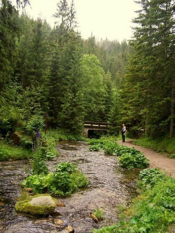 Potok górski
