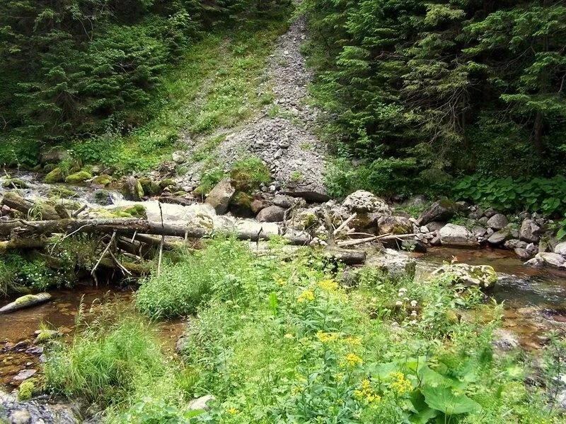 Potok górski