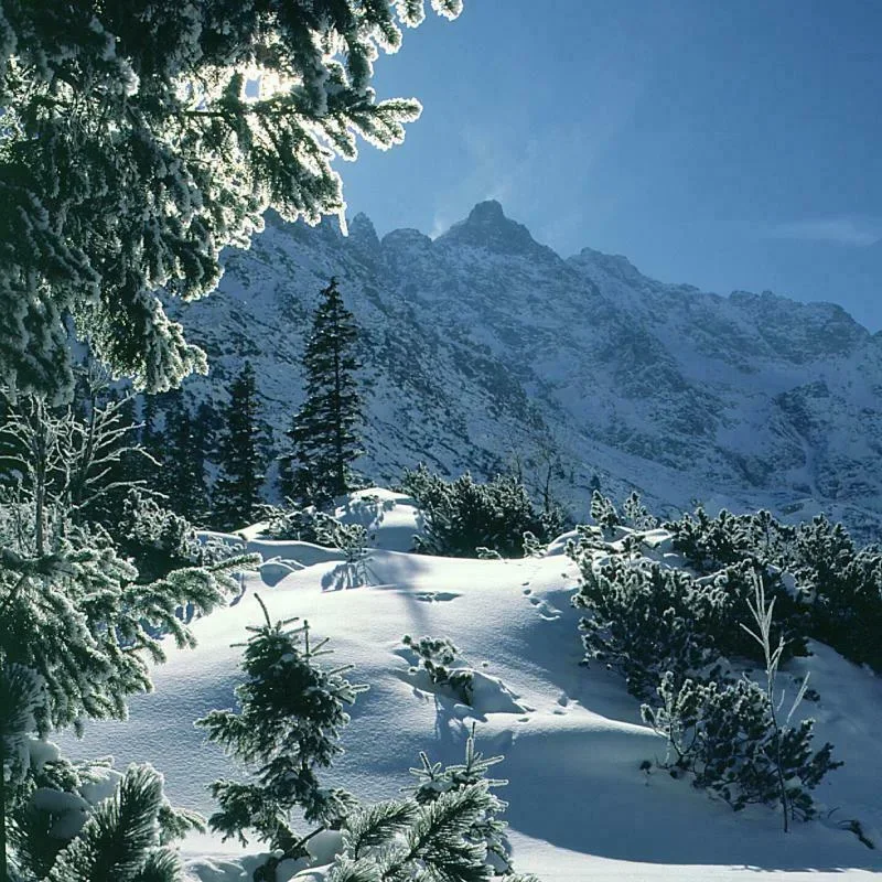 Morskie Oko