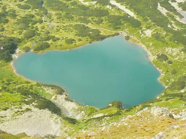 Zielony Staw