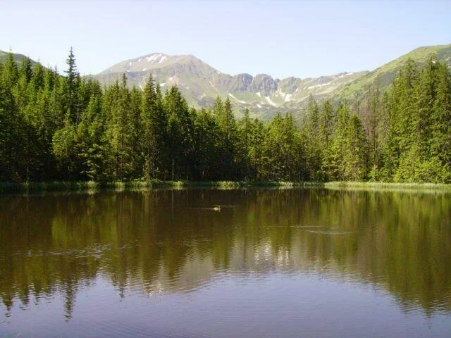 Smreczyński Staw