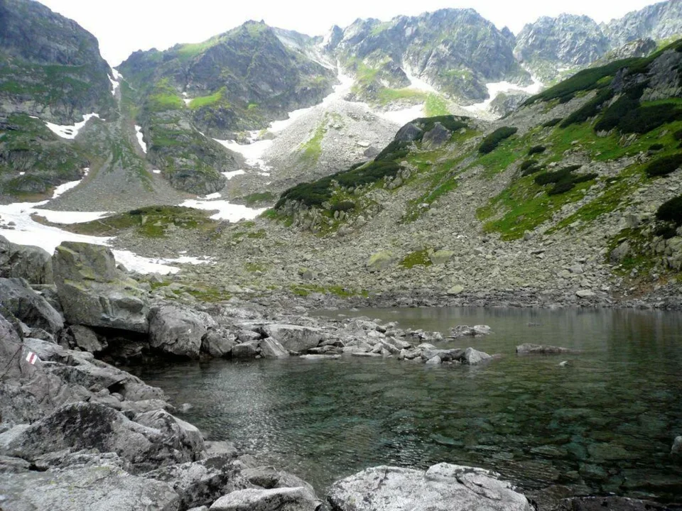 Stawek Staszica