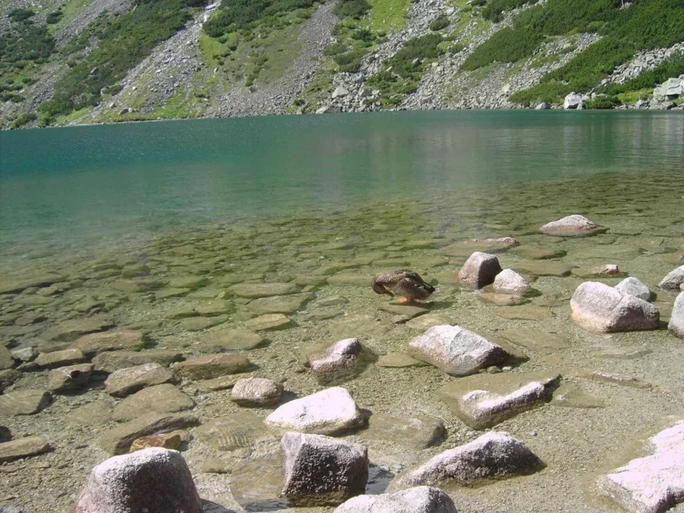 Czarny Staw Gąsienicowy