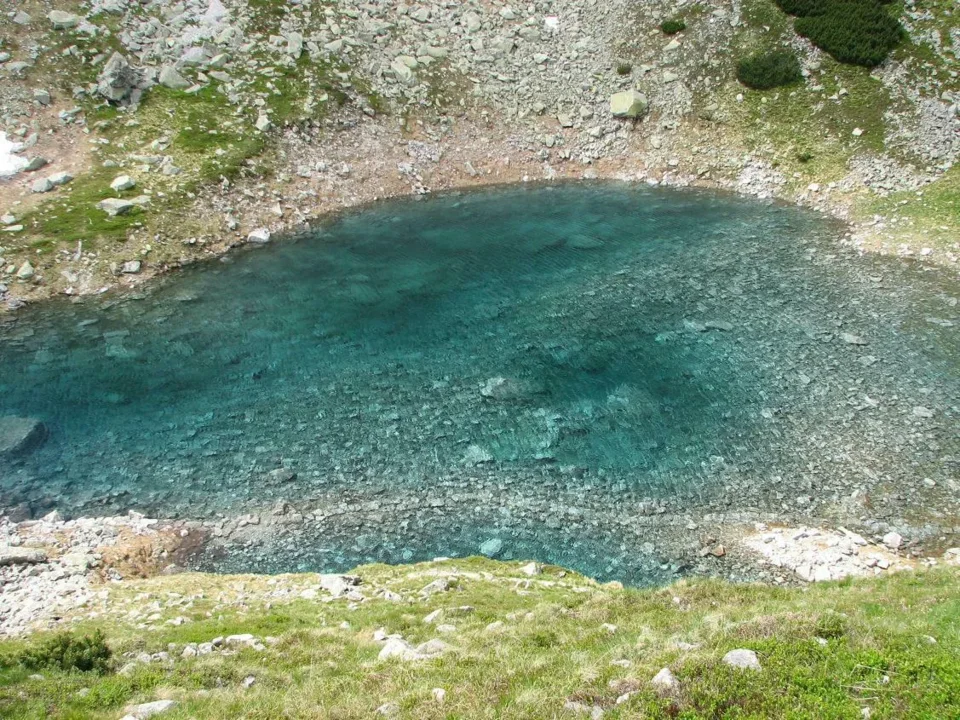 Staw Staszica