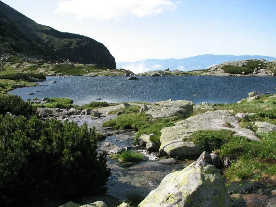 staw nad Skokiem