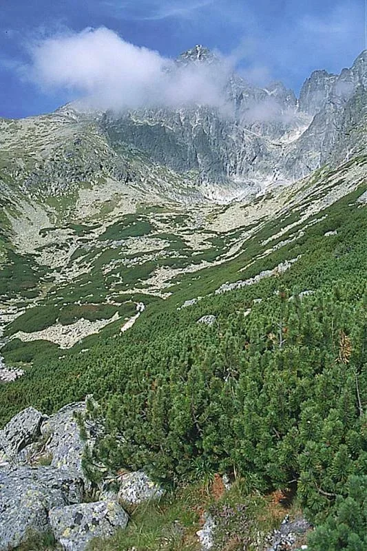 Łomnica w chmurach
