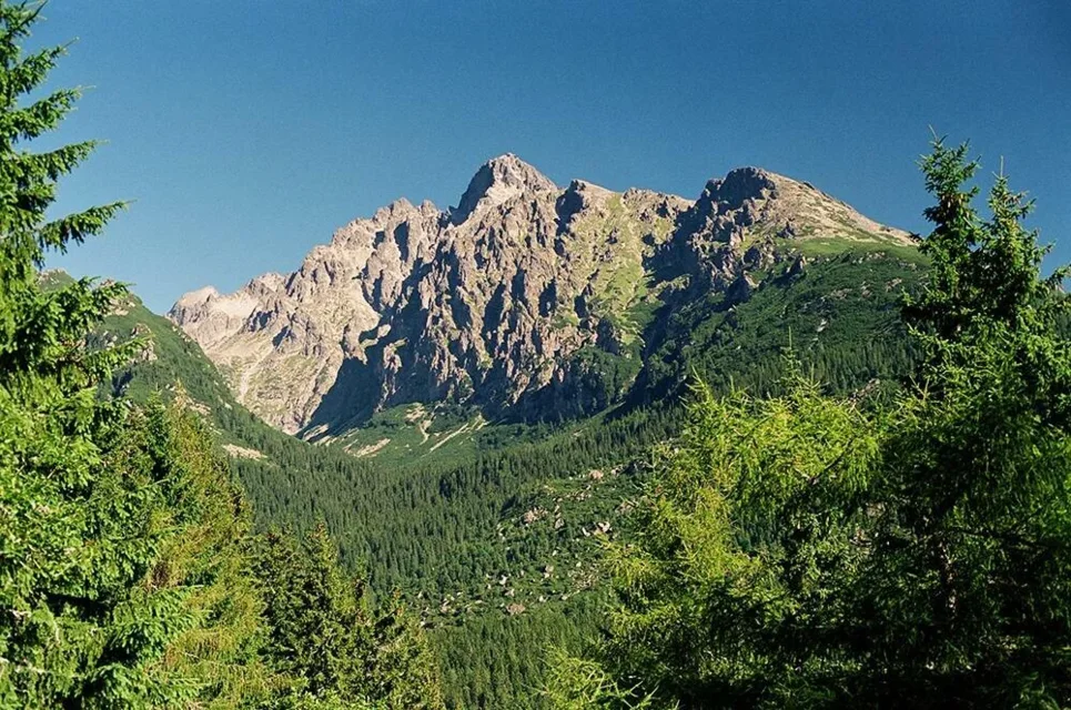 Łomnica z Siodełka