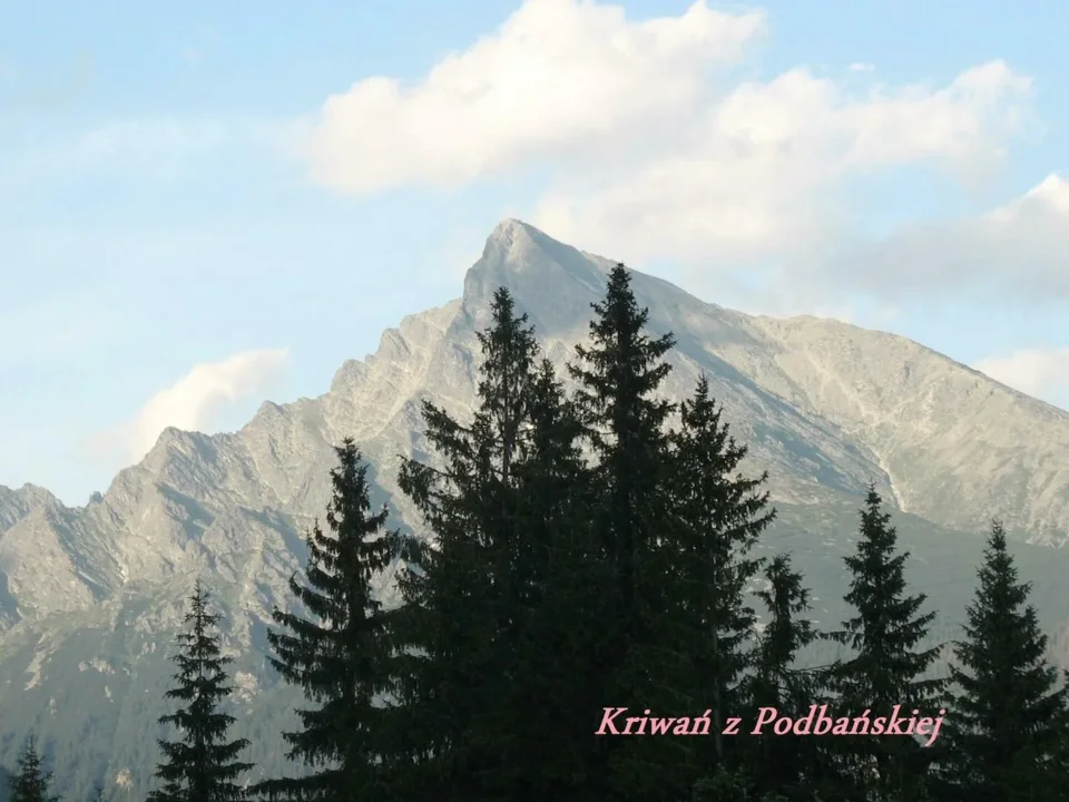 Kriwań