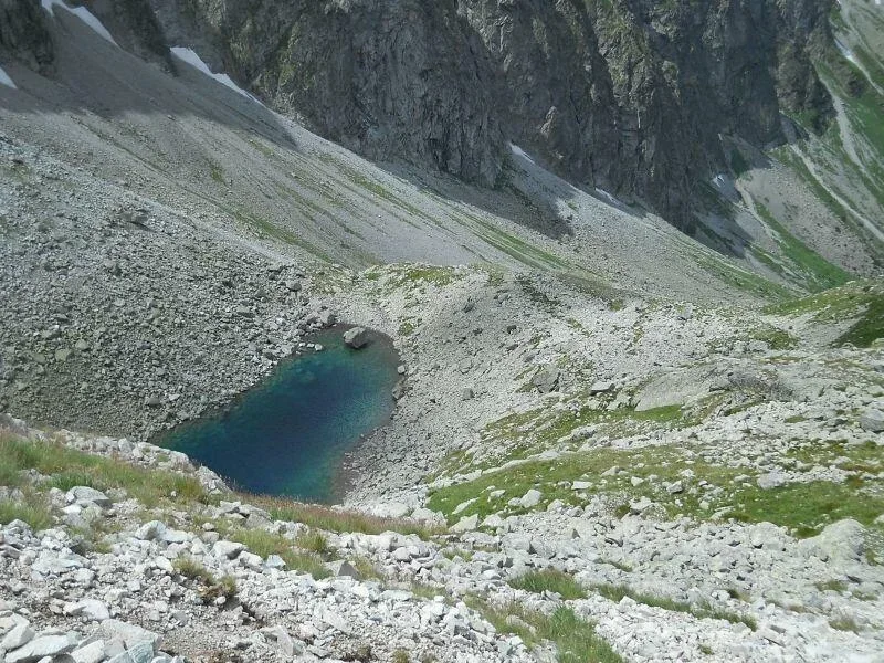 Żabi Staw Jaworowy