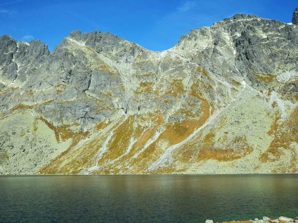 Hińczowy Staw