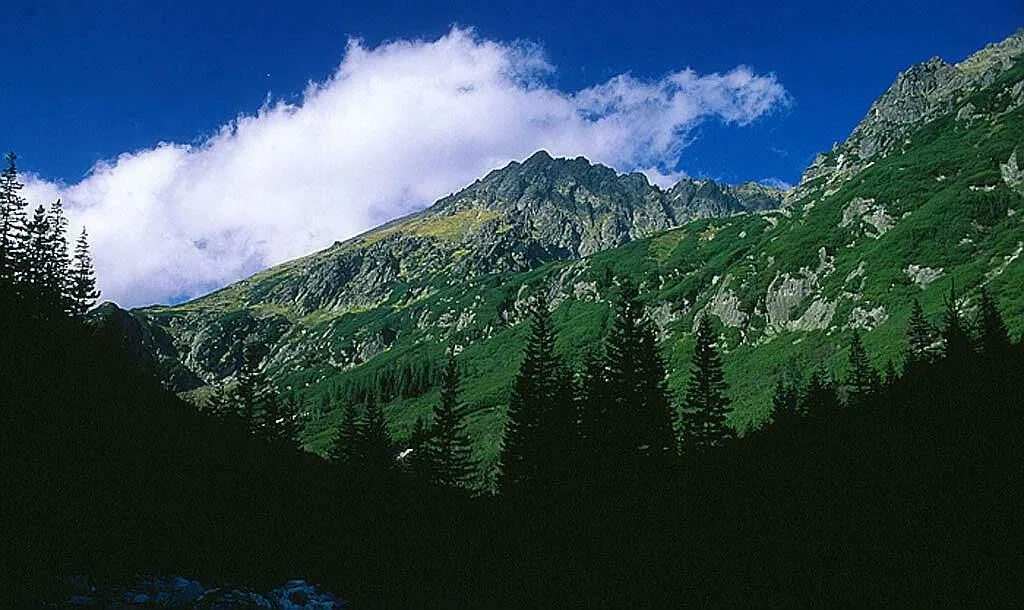 Widok z Doliny Roztoki