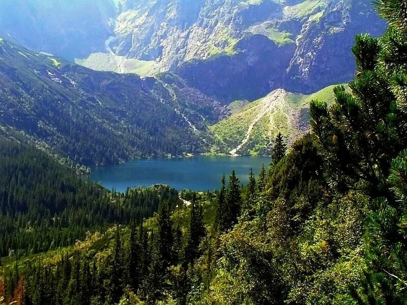 zagadka
