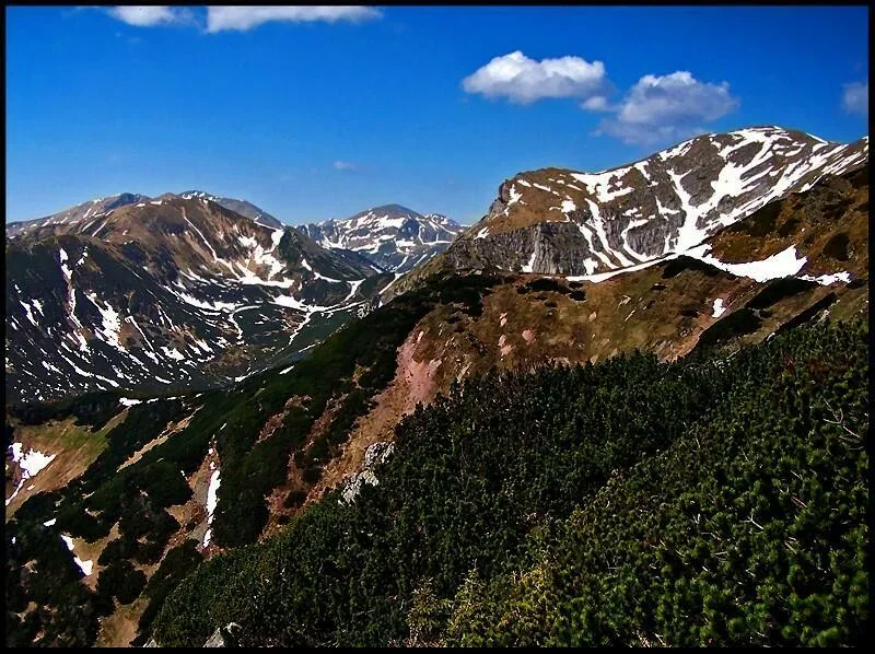 Zimowe ostatki