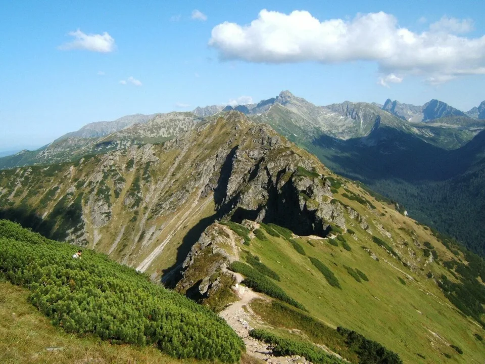 Na szlaku