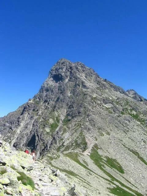 Świnica