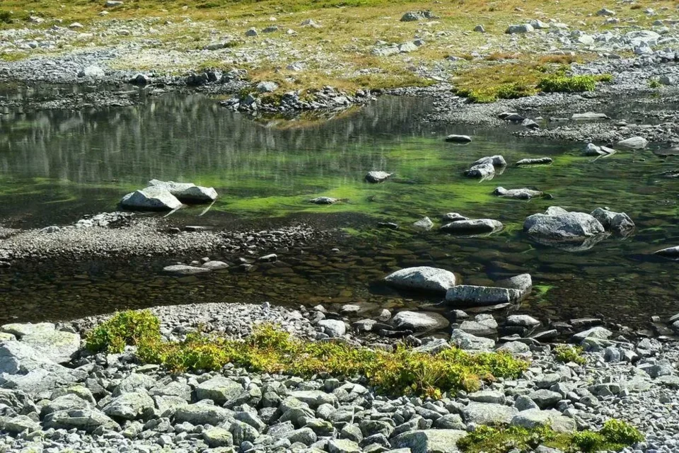 Tatry jesienią