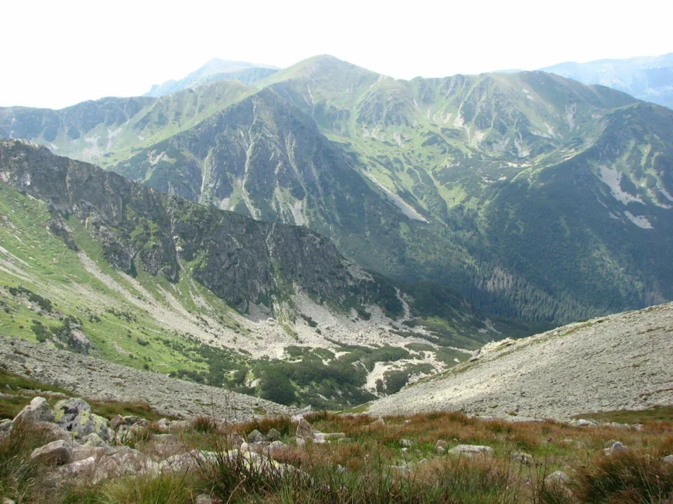 ze Świnickiej