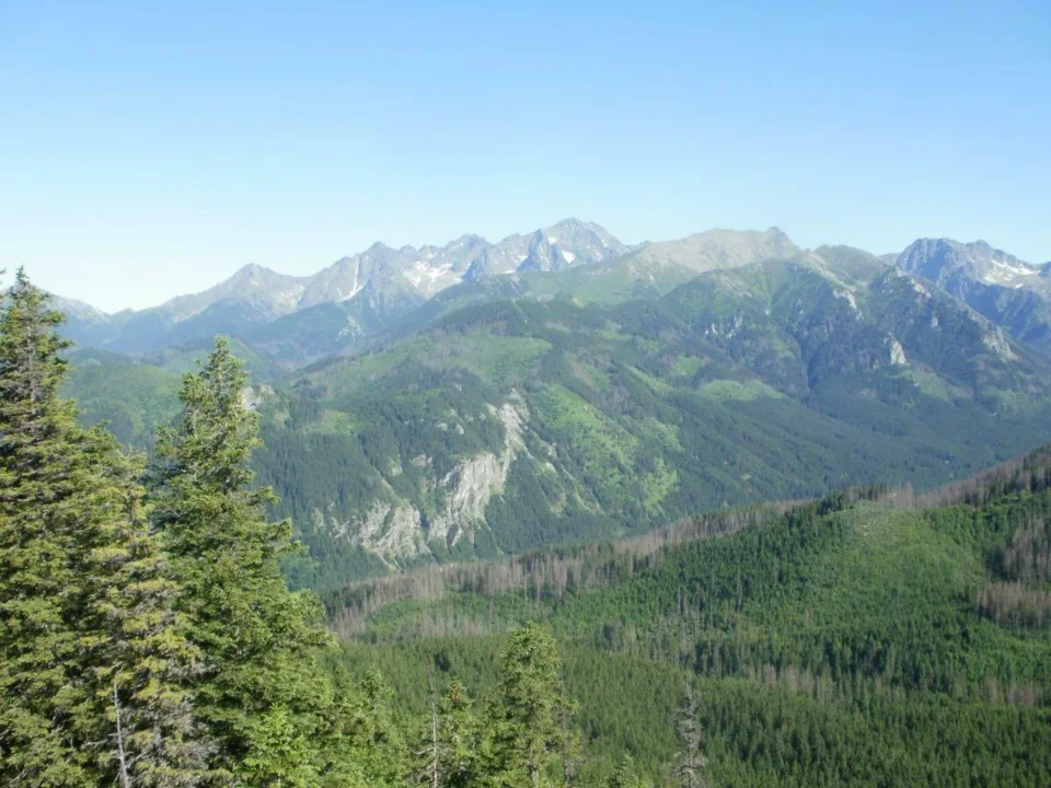 Widok z Gęsiej Szyj na Tatry Wysokie (Lodowy . Kołowy .Jagnięcy Szczyt)