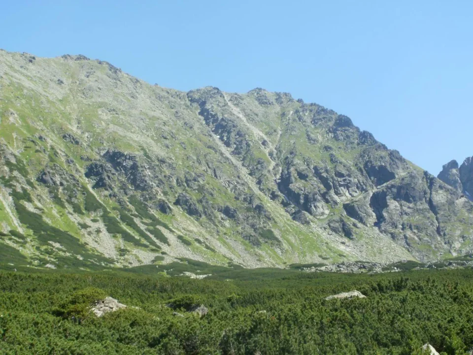 Koszysta i Waksmundzki Wierch