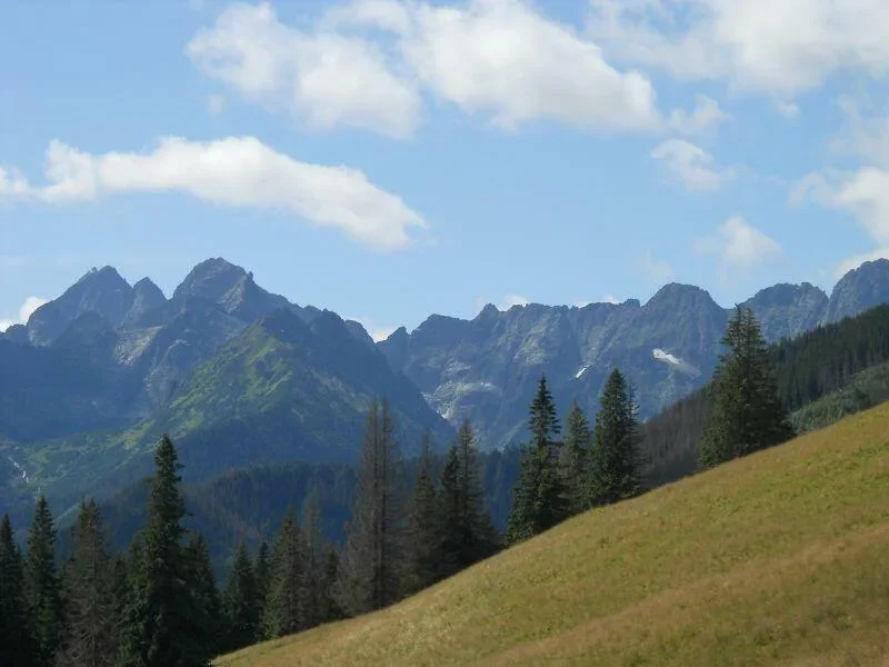 Widok z Rusinowej Polany