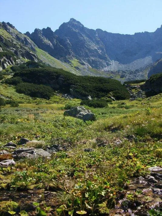 Temnosmrecinska dolina Temnosmrecinska veza Cubrina Piargovy chrbat