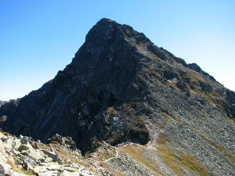 Świnica