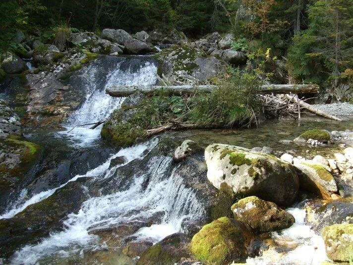 Koprove Skoky