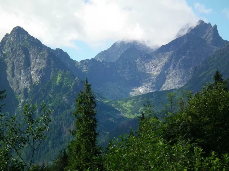 Widok na Tatry wysokie z Równi nad Kępą