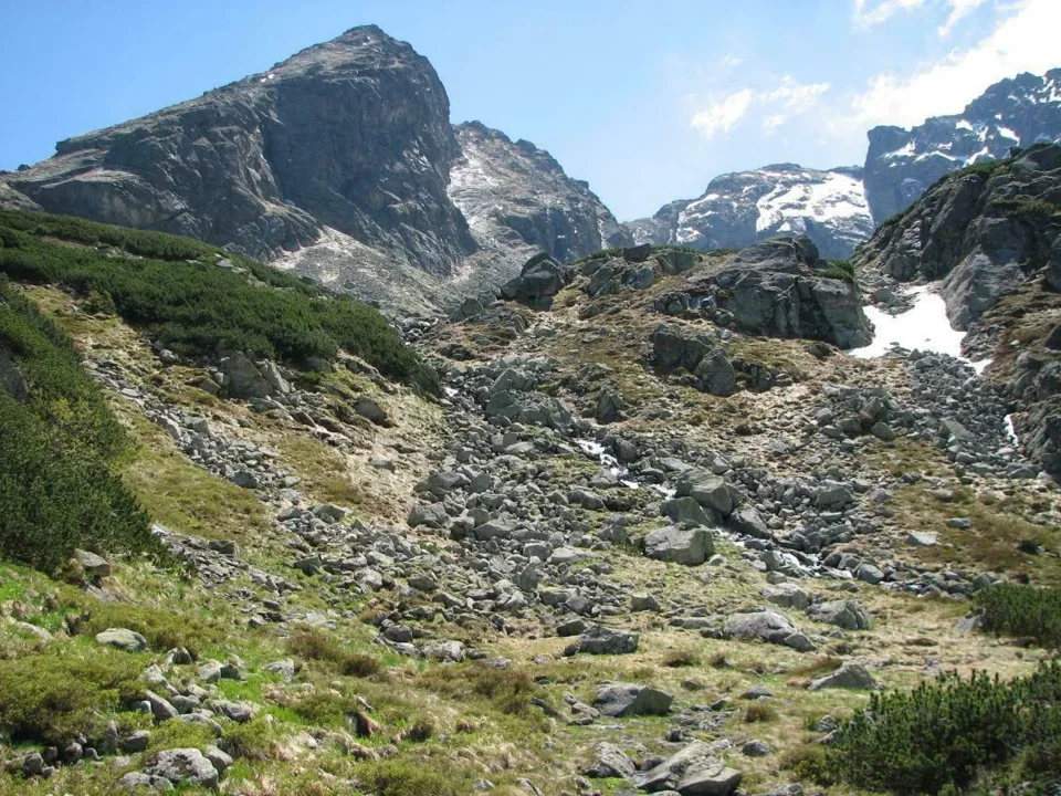 Kościelec