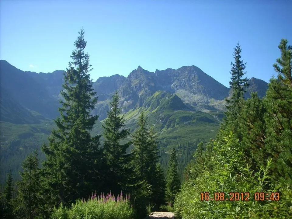 Widok na Tatry Wysokie
