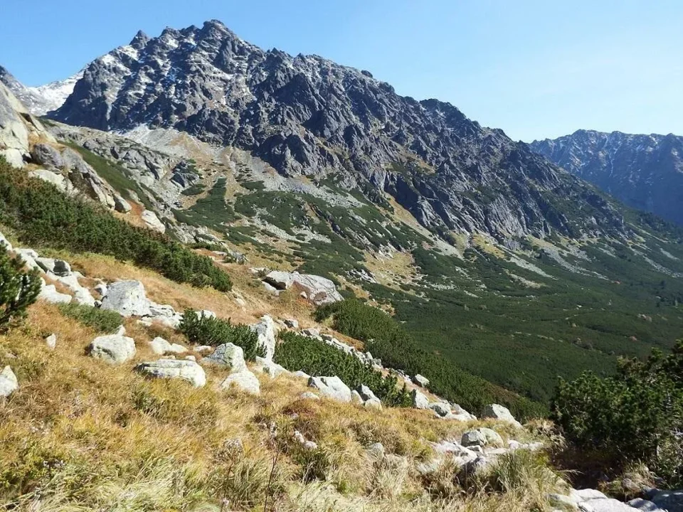 Popradzka Kopa