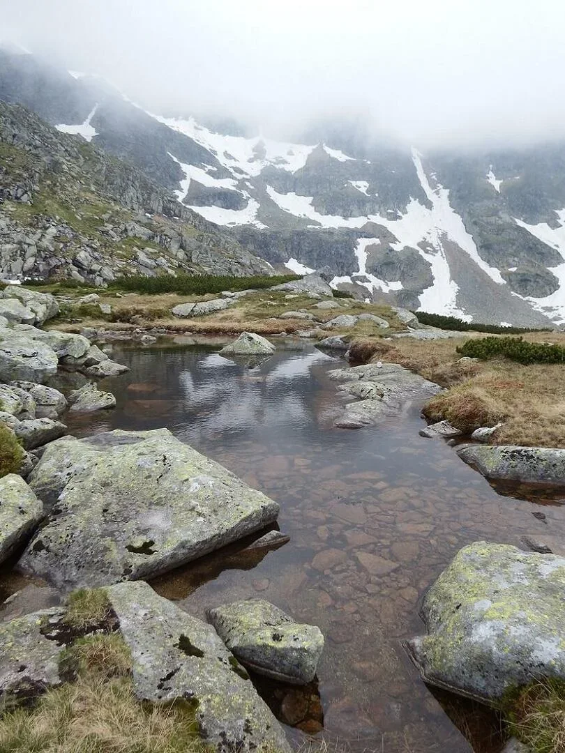 Wyżni Mnichowy Stawek