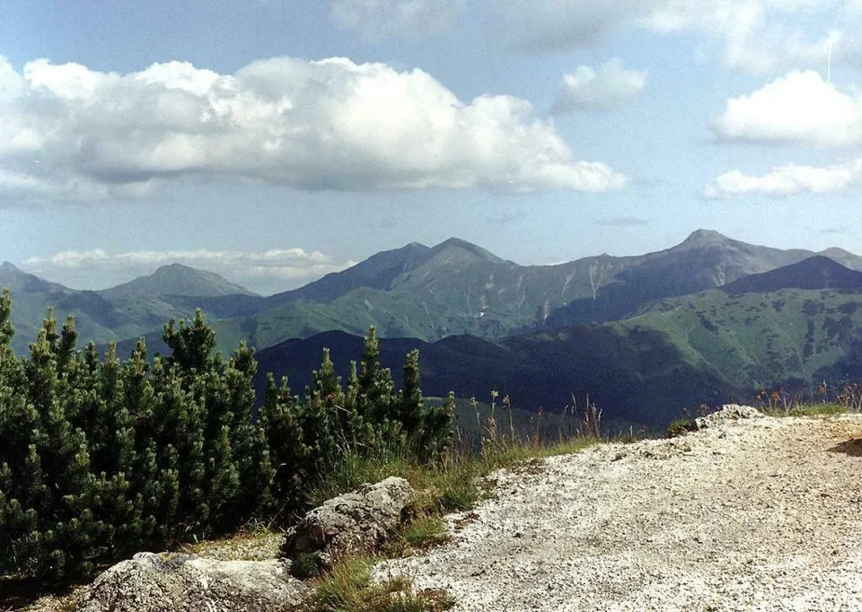 Bystra i szczyty Tatr Zachodnich z Osobitej