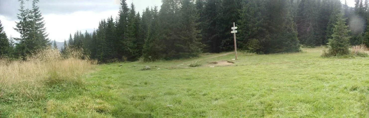 Iwaniacka