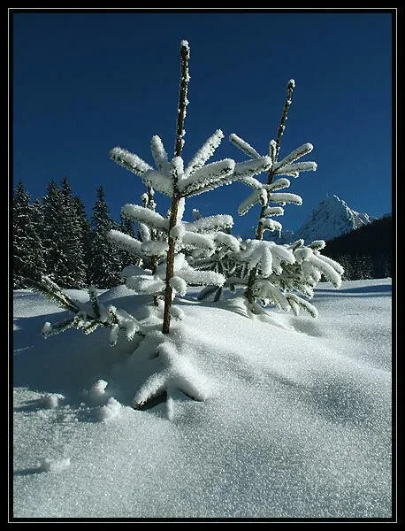 Mała Polanka 2